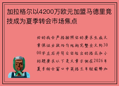 加拉格尔以4200万欧元加盟马德里竞技成为夏季转会市场焦点